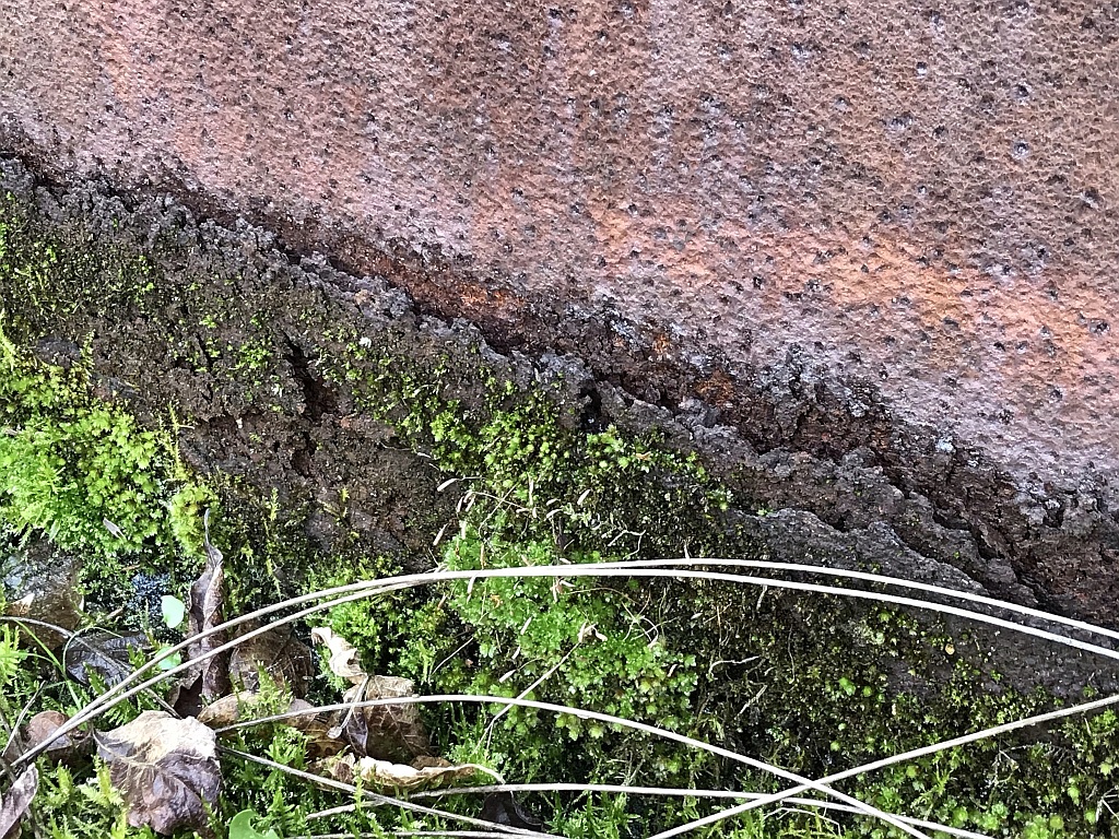 corrosion of Corten under a layer of moss
