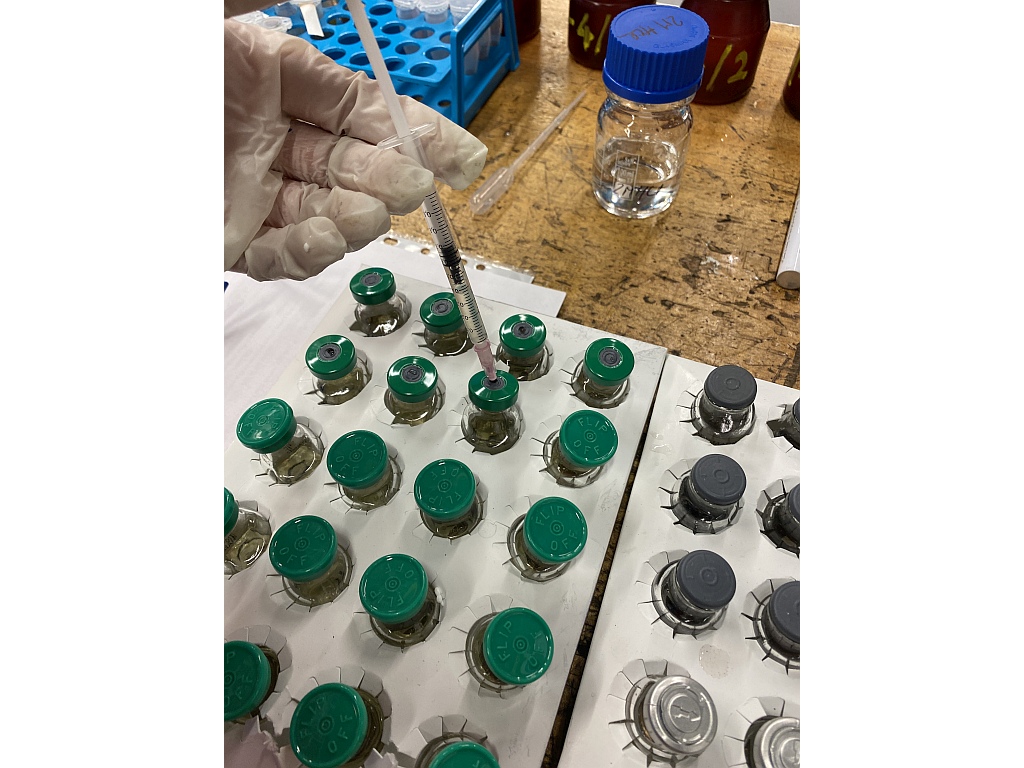 SRB serial dilution testing